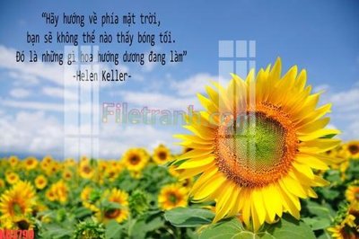 File tranh File gốc in tranh nền tường tổng hợp KD3790 (bản gốc) trang trí văn phòng