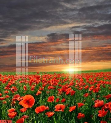 File gốc File gốc in tranh nền tường tổng hợp KD3796 (trang trí) phòng trẻ em