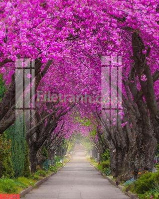 Download file gốc File gốc in tranh nền tường tổng hợp KD3928 (in mica) trong suốt