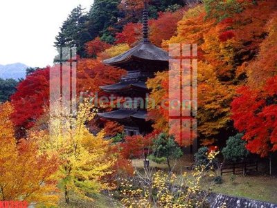 File tranh File gốc in tranh nền tường tổng hợp KD3932 (ảnh gốc) in trần nhà