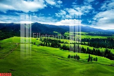 Tải về file gốc File gốc in tranh nền tường tổng hợp KD3933 (chuẩn in ấn)