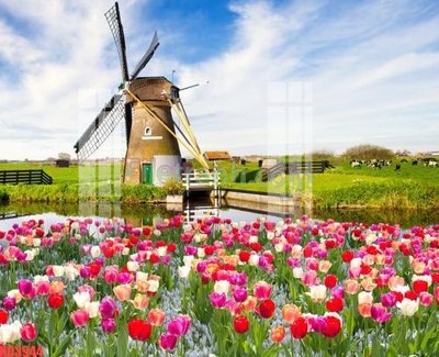 File gốc File gốc in tranh nền tường tổng hợp KD3944 (phiên bản chuẩn) để in ấn