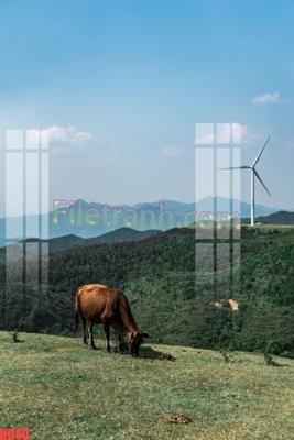 File tranh gốc File gốc in tranh nền tường tổng hợp KD40 (bản quyền) file PSD