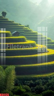 File gốc in tráng gương File gốc in tranh nền tường tổng hợp KD4135 chi tiết