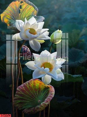 File gốc File gốc in tranh nền tường tổng hợp KD4153 (in tráng gương) nghệ thuật