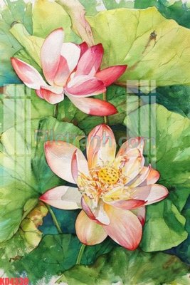 Chi tiết file tranh tráng gương File gốc in tranh nền tường tổng hợp KD4330 (ảnh gốc)