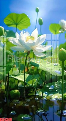 File gốc File gốc in tranh nền tường tổng hợp KD4349 (in tráng gương) ốp tường