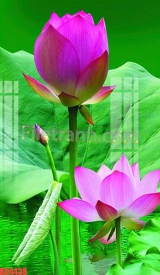 File gốc File gốc in tranh nền tường tổng hợp KD4438 (in mica) làm bảng hiệu