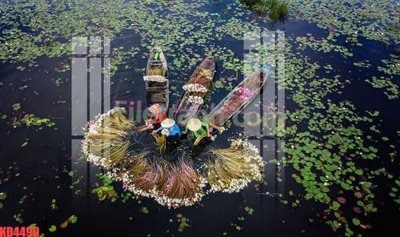 File PSD File gốc in tranh nền tường tổng hợp KD4499 (bản gốc) đã tách nền