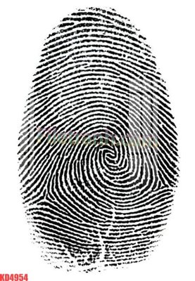 File gốc File gốc in tranh nền tường tổng hợp KD4954 (cho in 3D) độc đáo