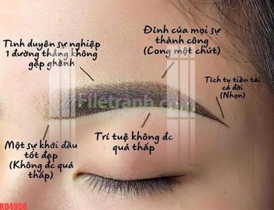 File gốc File gốc in tranh nền tường tổng hợp KD4956 (ảnh rõ nét) để in