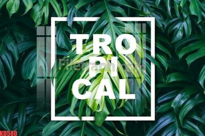 File gốc File gốc in tranh nền tường tổng hợp KD580 (trang trí) phòng trẻ em