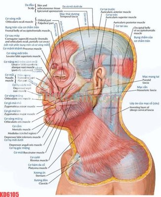 Tải file File gốc in tranh nền tường tổng hợp KD6105 (PSD) cho in ấn quảng cáo