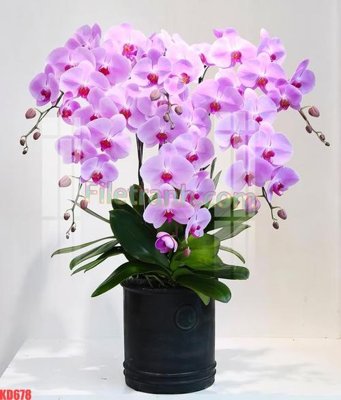 Tải file tranh File gốc in tranh nền tường tổng hợp KD678 (gốc) tại Filetranh.com