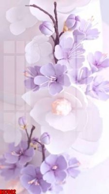 File tranh File tranh in décor tranh treo tường tổng hợp KD7002 (ảnh gốc) độ nét vượt trội