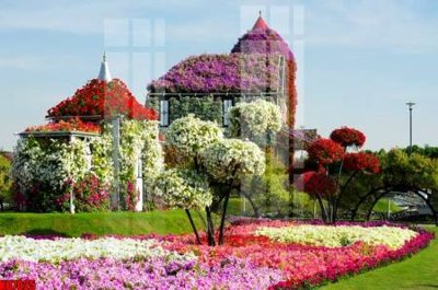 Download file gốc File tranh in décor tranh treo tường tổng hợp KD7025 (in lụa) hoa lá