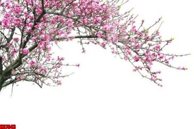 Download file tranh PSD File tranh in décor tranh treo tường tổng hợp KD7043 để chỉnh sửa