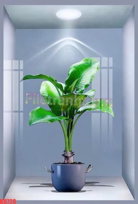 File tranh File gốc in tranh nền tường tổng hợp KD728 (ảnh gốc) sắc nét hoàn hảo