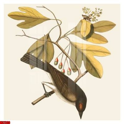 File gốc File tranh in décor tranh treo tường tổng hợp KD7289 (cho in UV) siêu nét