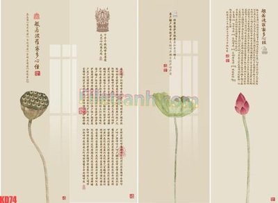 File in trần File gốc in tranh nền tường tổng hợp KD74 (bản gốc) mây trời