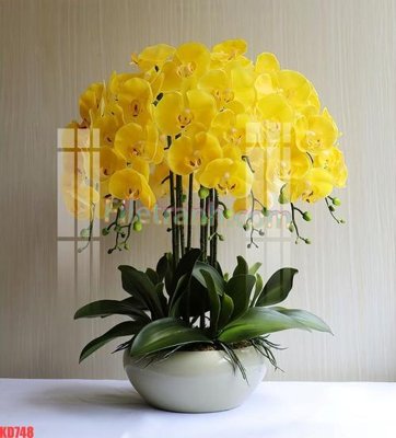 File tranh gốc File gốc in tranh nền tường tổng hợp KD748 chủ đề hiện đại