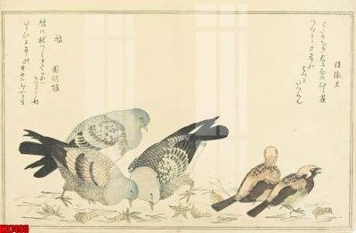 File tranh File tranh in décor tranh treo tường tổng hợp KD7495 (bản gốc) treo phòng ăn