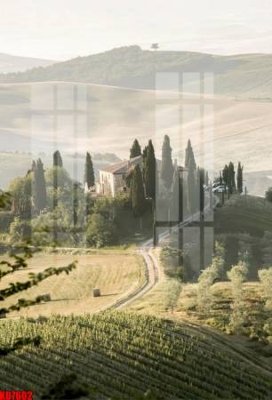 Tải file File tranh in décor tranh treo tường tổng hợp KD7602 (gốc) in ấn ngay lập tức