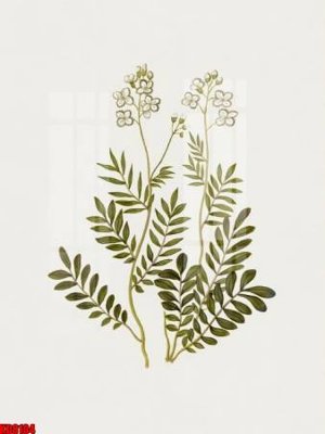 Tải file File tranh in décor tranh treo tường tổng hợp KD8104 (gốc) in tranh tráng gương