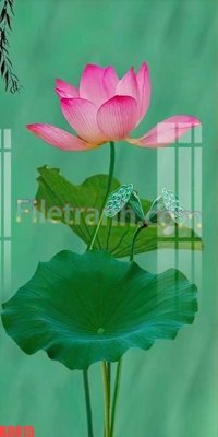 File gốc File gốc in tranh nền tường tổng hợp KD815 (PNG) nền trong suốt