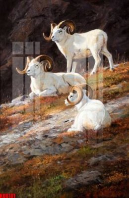 Chi tiết file gốc File tranh in décor tranh treo tường tổng hợp KD8181 (cho in tráng gương)