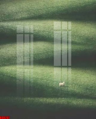 File in lụa File tranh in décor tranh treo tường tổng hợp KD8267 (hoa văn) File tranh in décor tranh treo tường tổng hợp KD8267