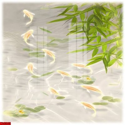 File tranh File tranh in décor tranh treo tường tổng hợp KD8505 (ảnh gốc) chi tiết rõ ràng