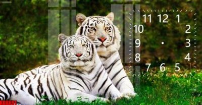 File gốc File tranh in décor tranh treo tường tổng hợp KD8691 (ảnh chi tiết) để in lụa