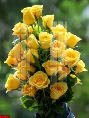 File in lụa File tranh in décor tranh treo tường tổng hợp KD8842 (hoa văn) File tranh in décor tranh treo tường tổng hợp KD8842