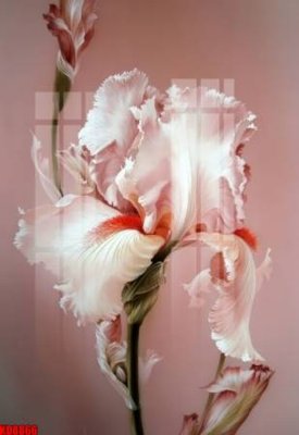 Download file gốc File tranh in décor tranh treo tường tổng hợp KD8866 (dùng cho in ấn)