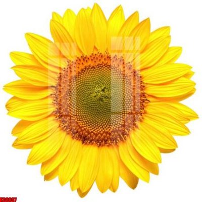 File PSD File tranh in décor tranh treo tường tổng hợp KD8897 (gốc) tách lớp chi tiết