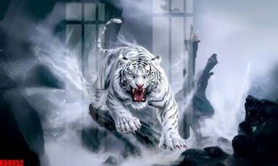 File in ấn File tranh in décor tranh treo tường tổng hợp KD8952 chuyên nghiệp