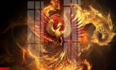 File gốc File tranh in décor tranh treo tường tổng hợp KD8992 (cho in 3D) độc đáo