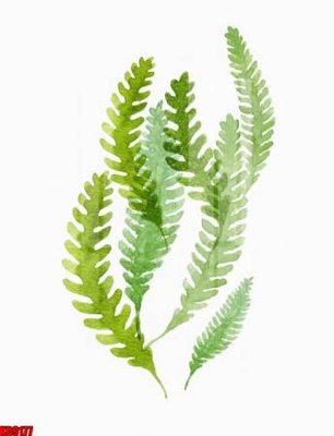 Chi tiết file gốc File tranh in décor tranh treo tường tổng hợp KD9177 (cho in tráng gương)