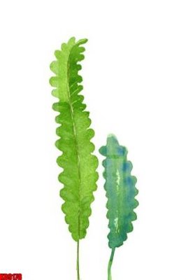 Tải file File tranh in décor tranh treo tường tổng hợp KD9178 (gốc) in trên mọi chất liệu