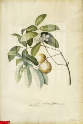 File gốc File tranh in décor tranh treo tường tổng hợp KD9477 (phong cách) châu Âu