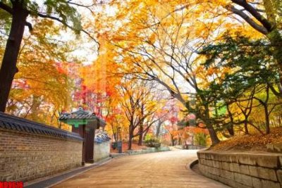 File PSD File tranh in décor tranh treo tường tổng hợp KD9616 (gốc) cho designer