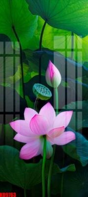 File in trần File tranh in décor tranh treo tường tổng hợp KD9763 (file gốc) phong thủy