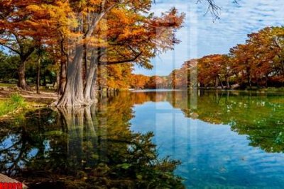 Tải file File tranh in décor tranh treo tường tổng hợp KD9911 (gốc) in nhanh