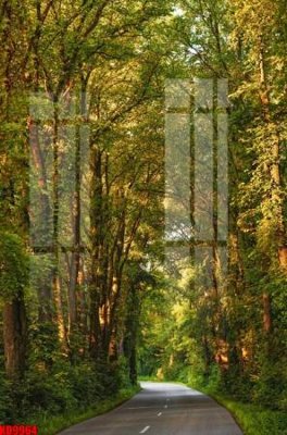 File tranh File tranh in décor tranh treo tường tổng hợp KD9964 (file gốc) chuẩn màu in