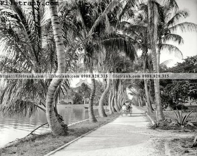 File tranh gốc Lake Worth_ 1908 (bản quyền) Filetranh.com