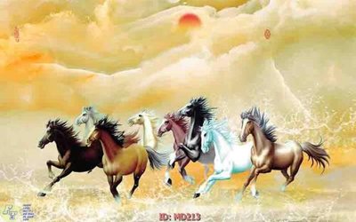 File gốc File mã đáo thành công MD213 (ảnh chi tiết) để in ấn