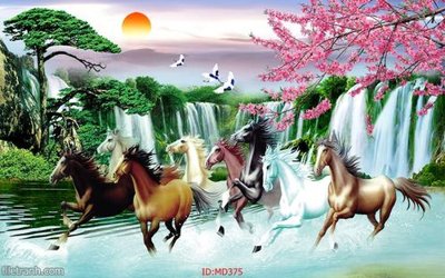 File ảnh File mã đáo thành công MD375 (gốc) in backdrop sự kiện