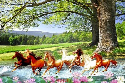 File tranh File mã đáo thành công MD412 (ảnh gốc) in trần nhà