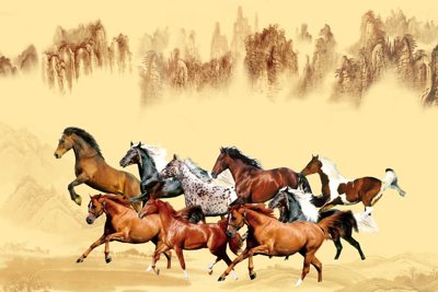 File tranh gốc File mã đáo thành công MD6061 (bản quyền) file PSD